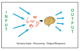 Sensory Processing Disorder